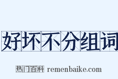 好坏不分组词是什么意思的图片